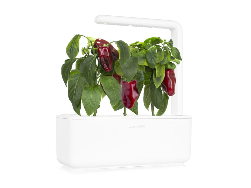 Click & Grow - Smart Garden Refill 3-pack Sweet red peppers