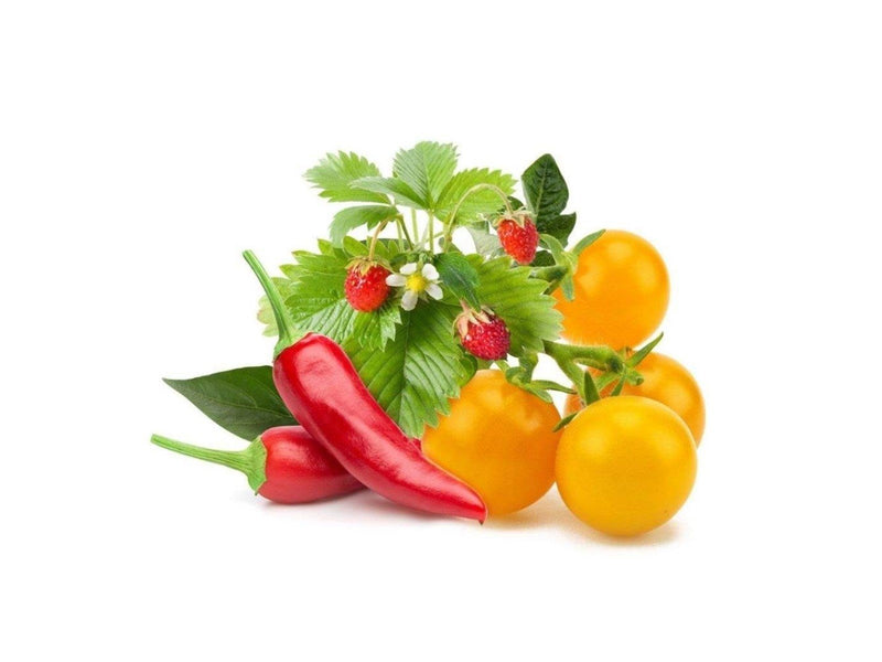 Click & Grow Click and Grow - Smart Garden Refill 9-pack Fruit and Veggie Mix