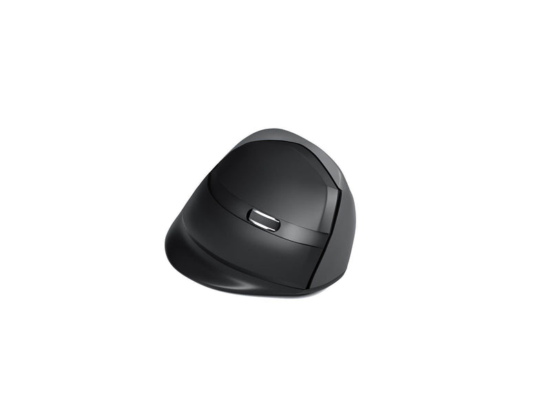 STANDIVARIUS AVE mouse - ()