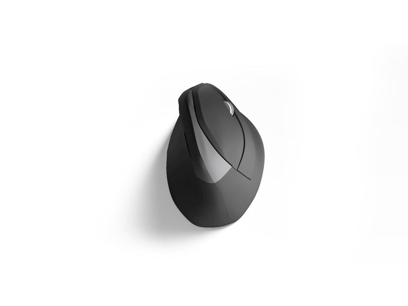 STANDIVARIUS AVE mouse - ()
