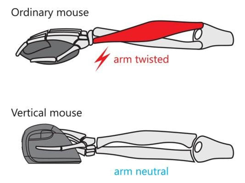 STANDIVARIUS AVE mouse - ()