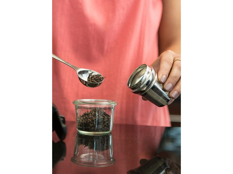 Contigo West Loop infuser