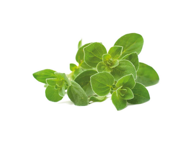 Click & Grow Click and Grow - Smart Garden Refill 3-pack Oregano
