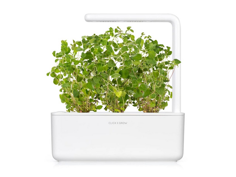 Click & Grow Click and Grow - Smart Garden Refill 3-pack Oregano