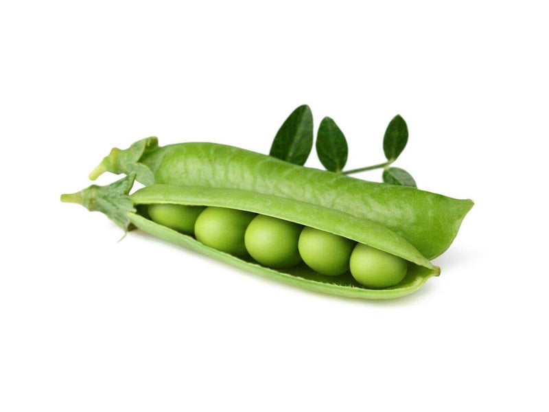 Click & Grow - Smart Garden Refill 3-pack Dwarf Pea