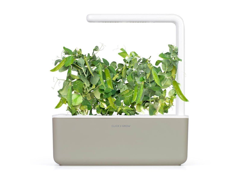 Click & Grow - Smart Garden Refill 3-pack Dwarf Pea