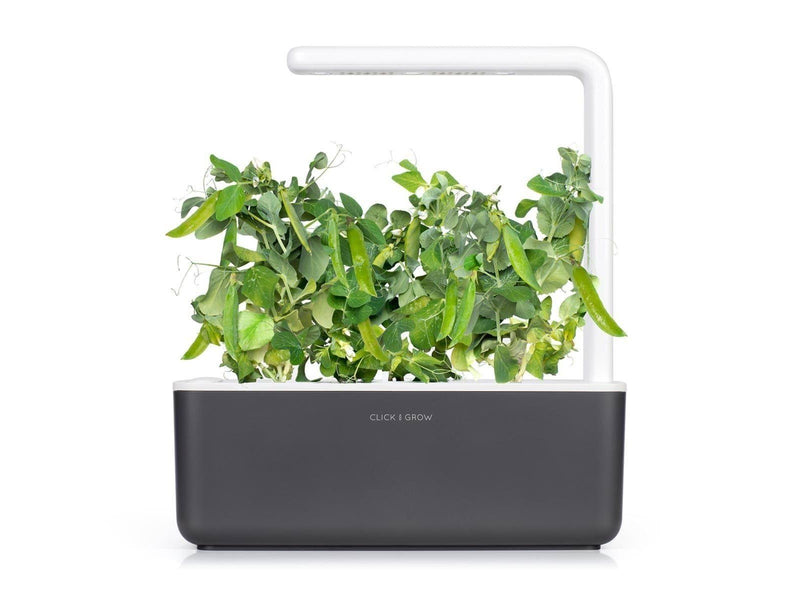 Click & Grow - Smart Garden Refill 3-pack Dwarf Pea
