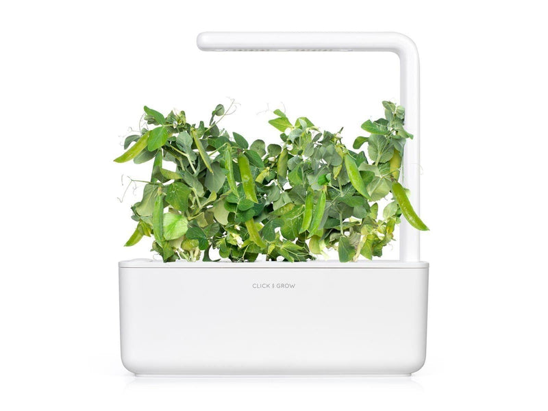 Click & Grow - Smart Garden Refill 3-pack Dwarf Pea