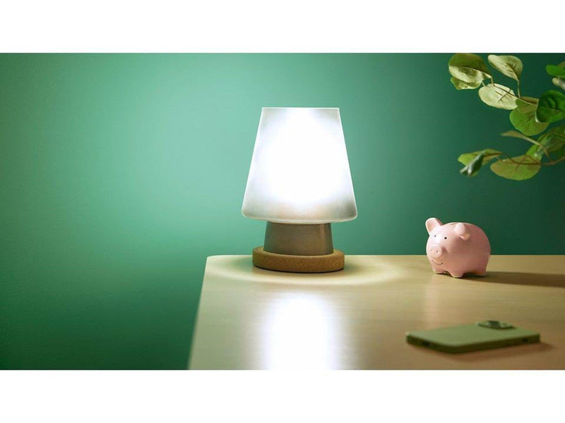 WiZ Ultra Efficient A60 E27 bulb