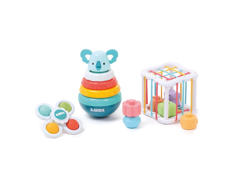LUDI Box with Motor Skill Toys
