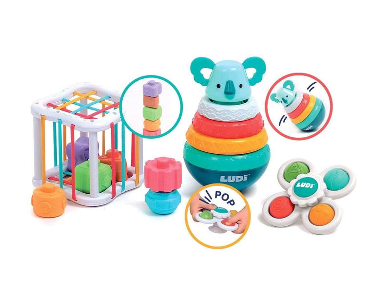 LUDI Box with Motor Skill Toys