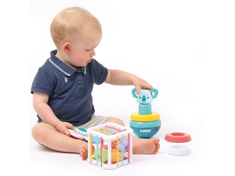LUDI Box with Motor Skill Toys