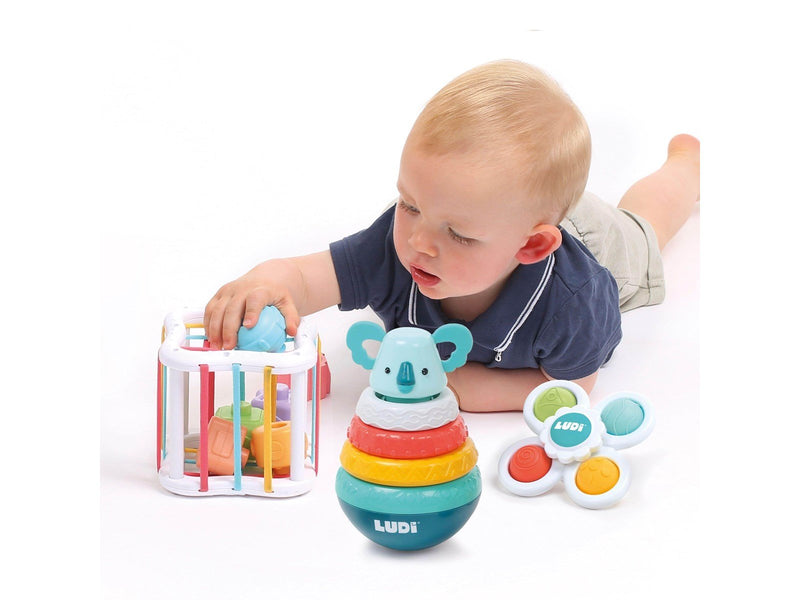 LUDI Box with Motor Skill Toys
