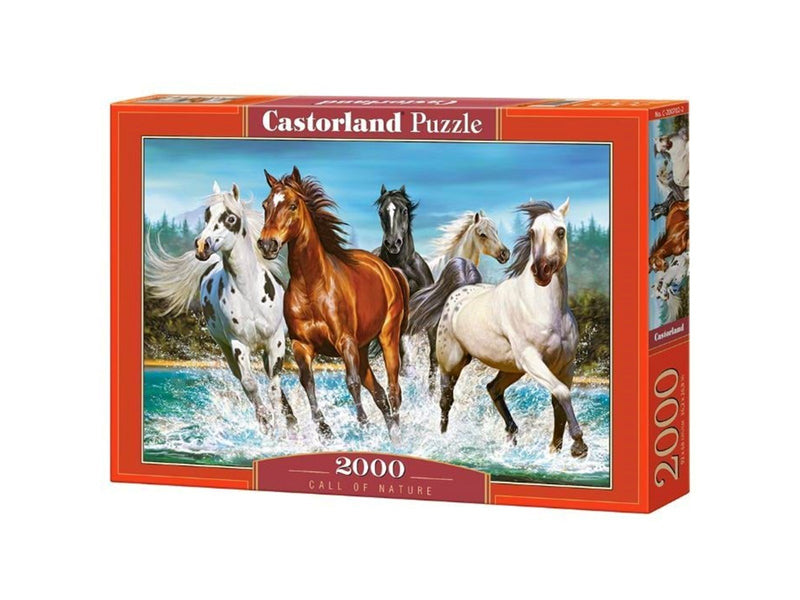 Castorland Herd of horses