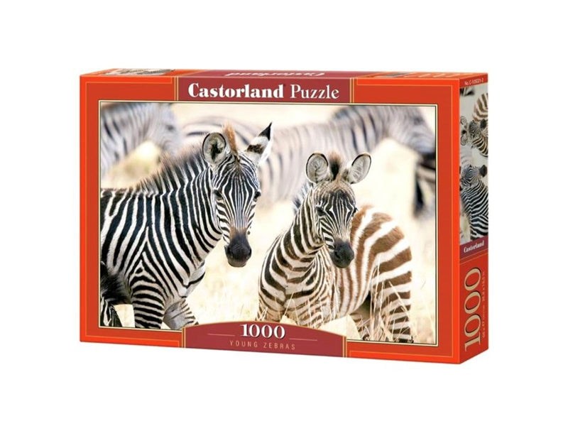 Castorland Young zebras