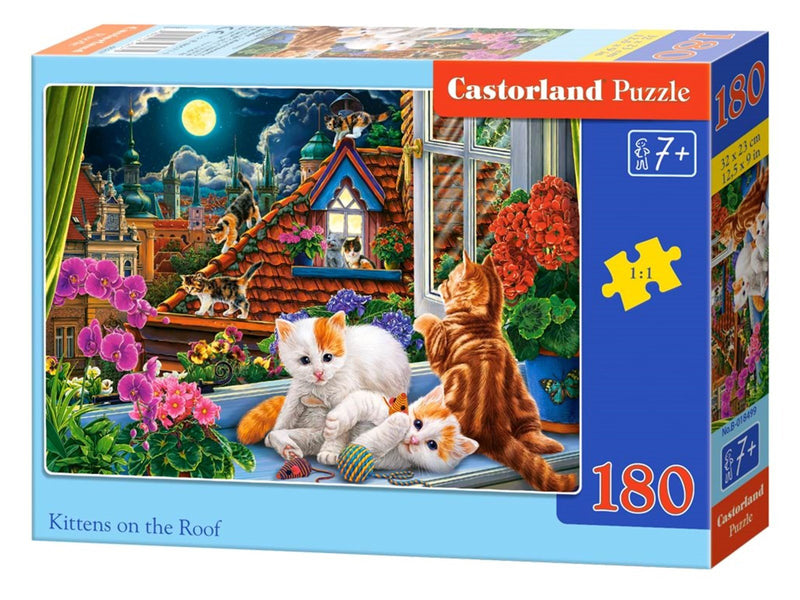 Castorland Kittens at play