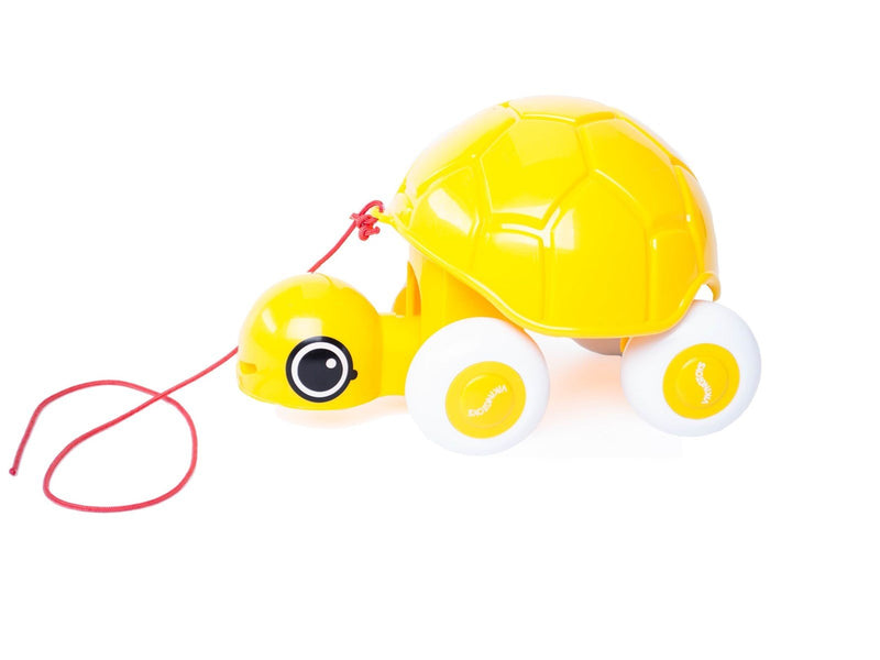 Viking Turtle with wheels