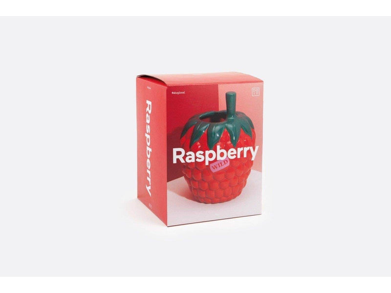 Doiy - Farmers’ Market Raspberry Vase 14.5x20cm