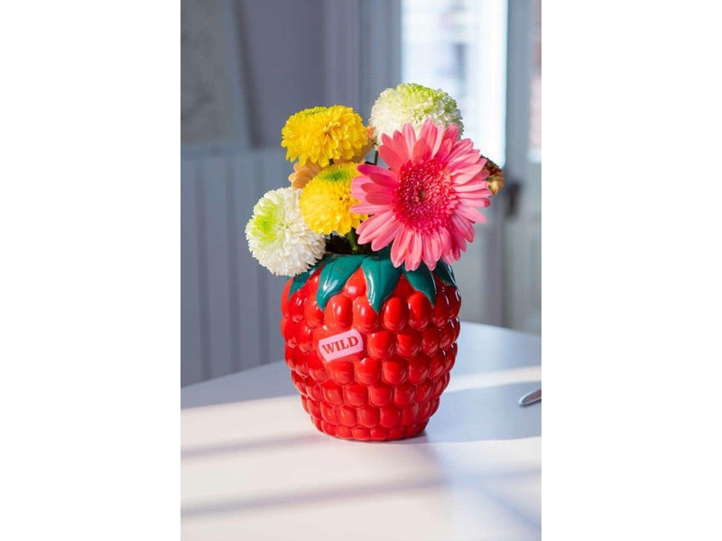 Doiy - Farmers’ Market Raspberry Vase 14.5x20cm