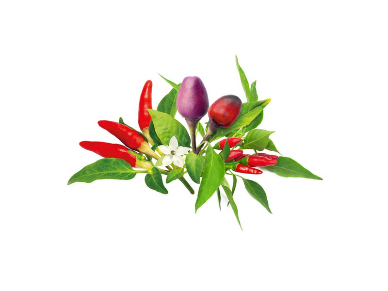 Click & Grow Click and Grow - Smart Garden Refill 9-pack Chili Pepper Mix