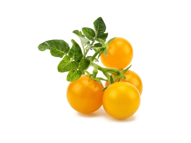 Click & Grow - Smart Garden Refill 3-pack Yellow Tomato