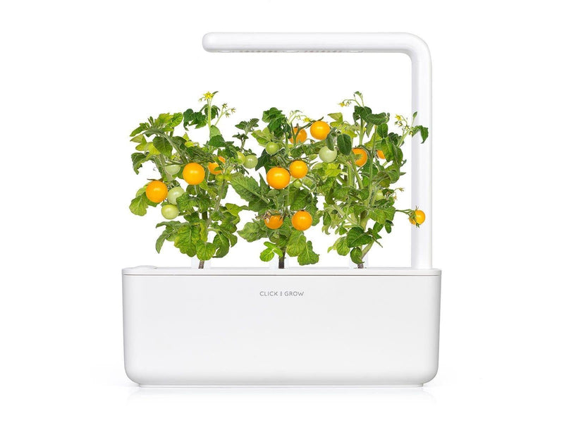Click & Grow - Smart Garden Refill 3-pack Yellow Tomato