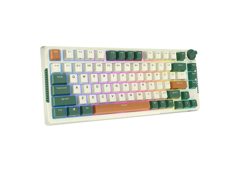 Royal Kludge RKH81 RGB mechanical keyboard Sky cyan switch (green) - Gaming Tastaturen - Grün