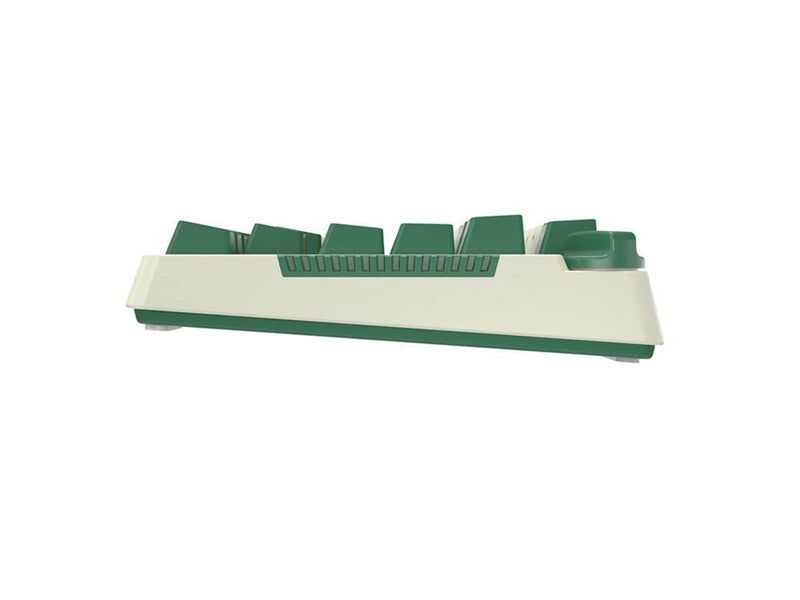 Royal Kludge RKH81 RGB mechanical keyboard Sky cyan switch (green) - Gaming Tastaturen - Grün