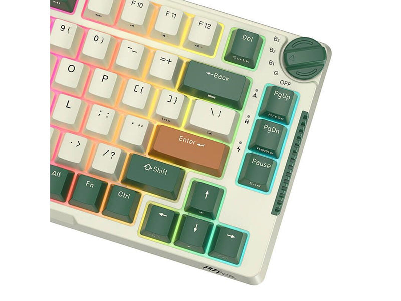 Royal Kludge RKH81 RGB mechanical keyboard Sky cyan switch (green) - Gaming Tastaturen - Grün