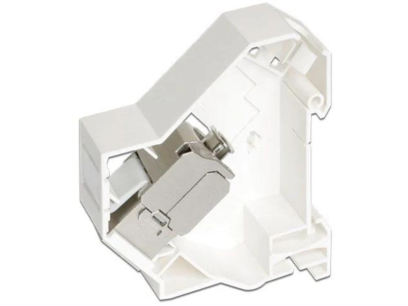 DeLOCK Keystone Mounting for DIN rail