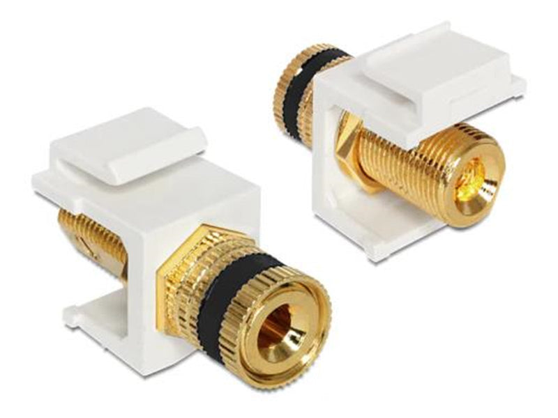 DeLOCK Modular Insert