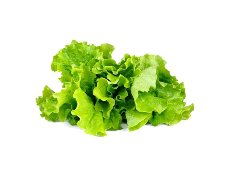 Click & Grow Click and Grow - Smart Garden Refill 3-pack - Green Lettuce (SGR32X3)