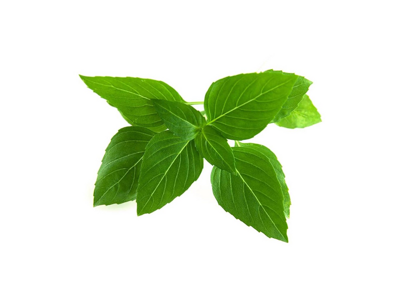 Click & Grow Click and Grow - Smart Garden Refill 3-pack Thai Basil