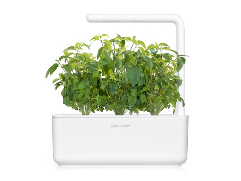 Click & Grow Click and Grow - Smart Garden Refill 3-pack Thai Basil