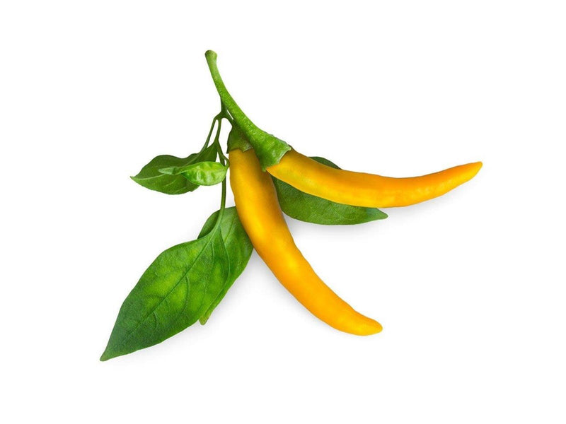 Click & Grow - Smart Garden Refill 3-pack Yellow Chili Pepper
