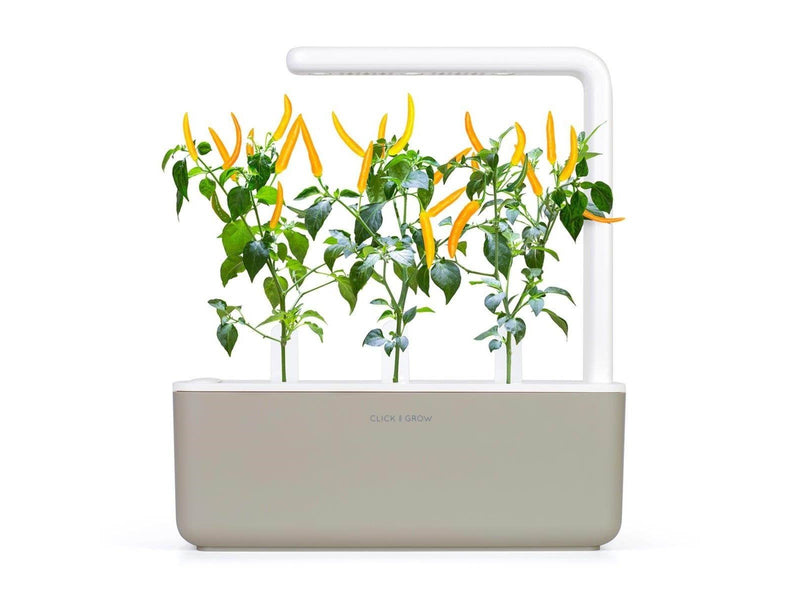 Click & Grow - Smart Garden Refill 3-pack Yellow Chili Pepper
