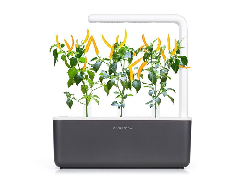 Click & Grow - Smart Garden Refill 3-pack Yellow Chili Pepper