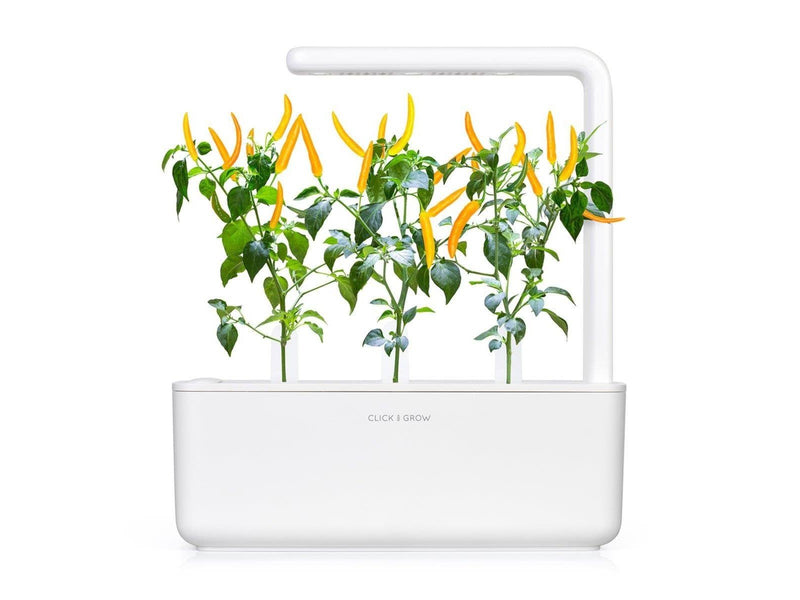 Click & Grow - Smart Garden Refill 3-pack Yellow Chili Pepper