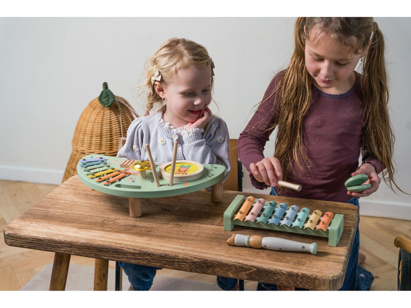 Dantoy Playful Wood Music Set