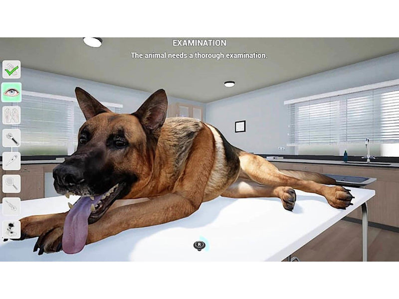 My Life: Pet Vet (Code in a Box) - Nintendo Switch - Simulation - PEGI 3