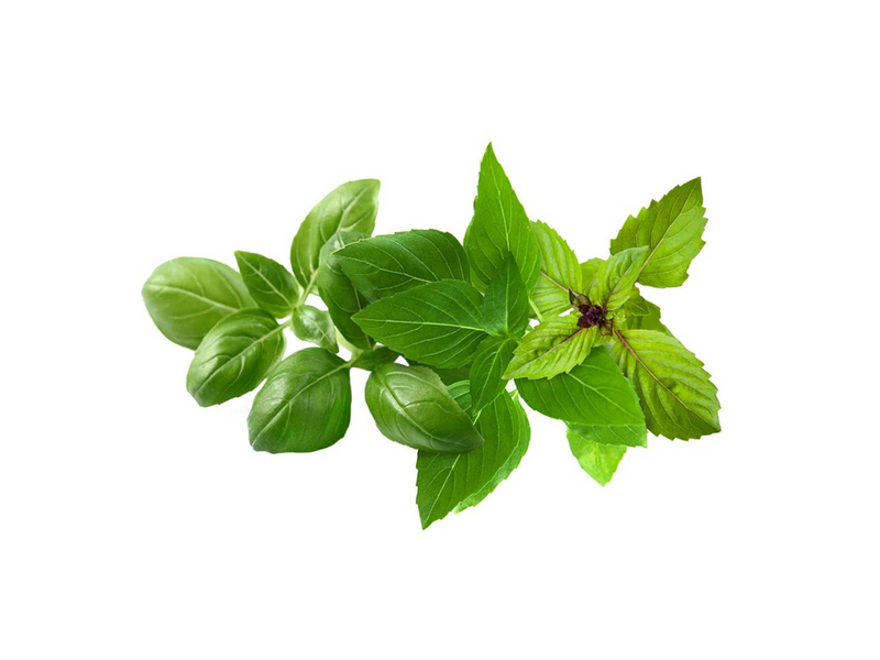 Click & Grow Click and Grow - Smart Garden Refill 9-pack Basil Variety Mix