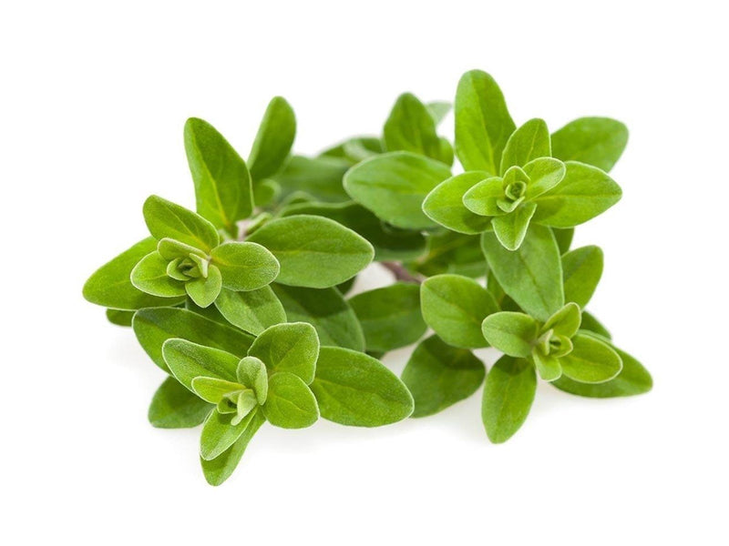 Click & Grow - Smart Garden Refill 3-pack Marjoram