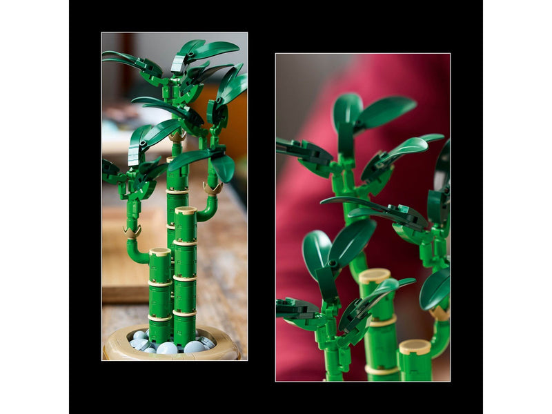 LEGO Botanicals 10344 Glücks-Bambus