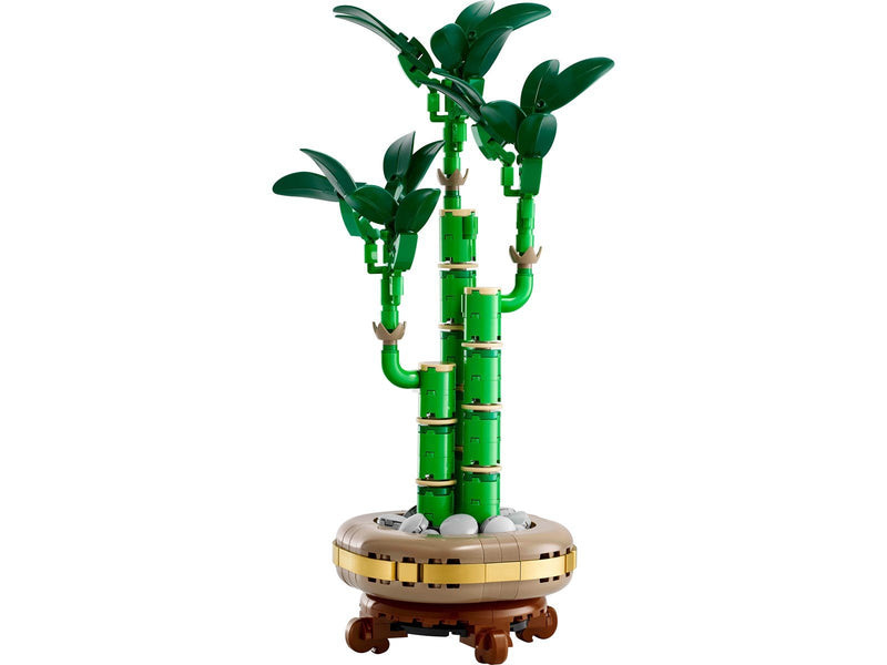 LEGO Botanicals 10344 Glücks-Bambus