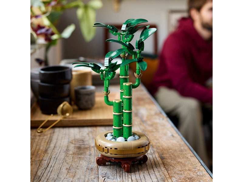 LEGO Botanicals 10344 Glücks-Bambus