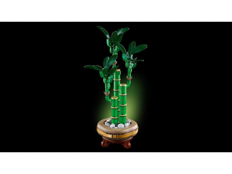LEGO Botanicals 10344 Glücks-Bambus
