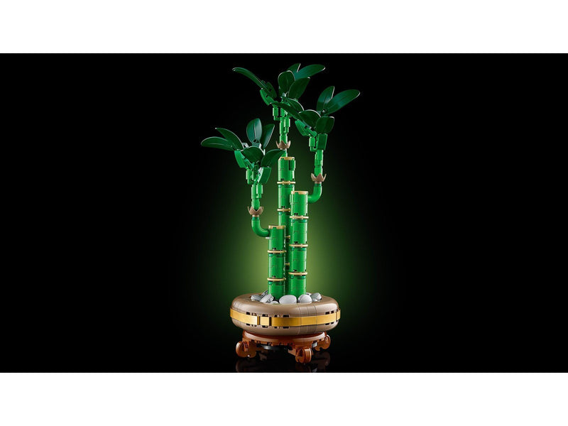 LEGO Botanicals 10344 Glücks-Bambus