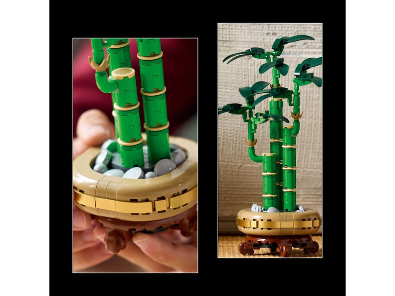 LEGO Botanicals 10344 Glücks-Bambus