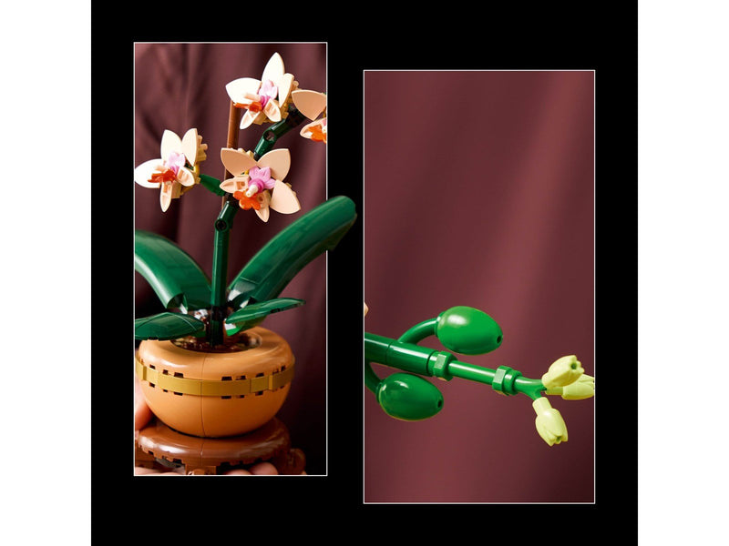 LEGO Botanicals 10343 Mini-Orchidee