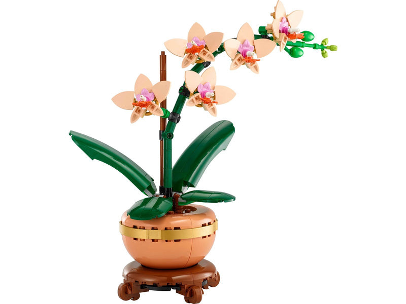 LEGO Botanicals 10343 Mini-Orchidee